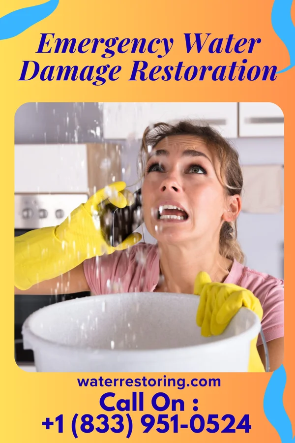 Emergency Water Damage Restoration in Shiocton, WI